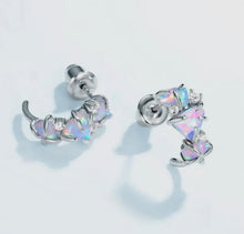 Load image into Gallery viewer, Deluxe Mystery Earrings Reveal