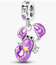 Load image into Gallery viewer, Zodiac Charms
