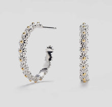 Load image into Gallery viewer, Mystery Earrings Reveal
